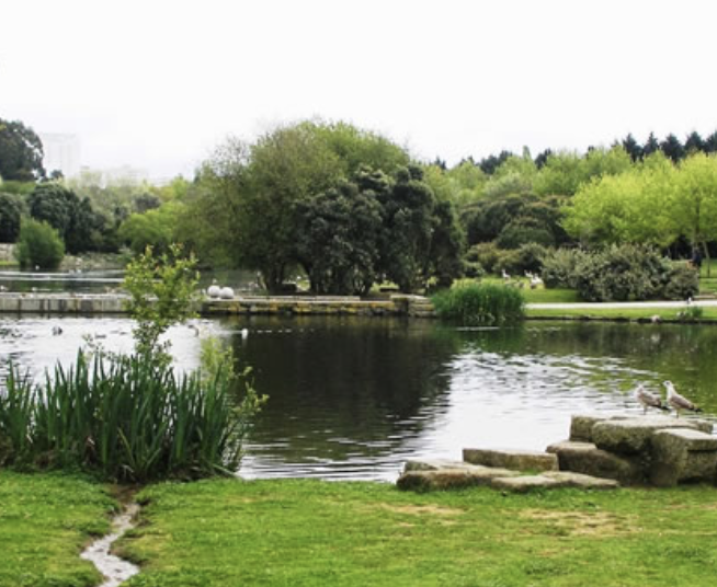 Parque da Cidade